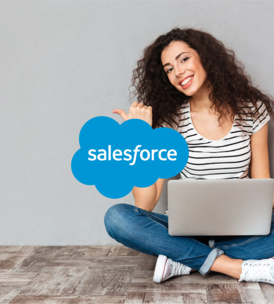 Asset 1 salesforce